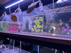 -中环花鸟鱼虫市场