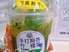 -老表记广西宵夜螺蛳鸭脚煲(西大店)