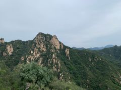 -大岭沟猕猴桃谷风景区