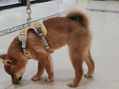 -宠颐生汉谟拉比宠物医院