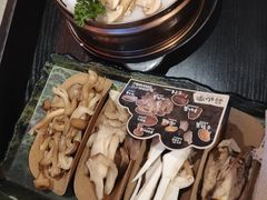 -芸山季·云南山珍菌火锅(人民广场来福士店)