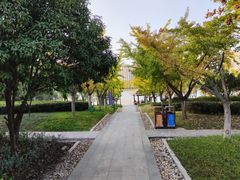 -天鹅湖体育公园