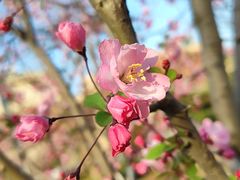 -方山风景区定林寺