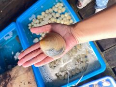 -旗鱼海番村(Orang Asli)