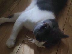 -美味居(古城店)