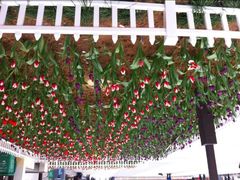 android_upload_pic-锦屏公园