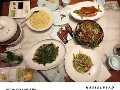 -鸭匠食府·挂炉烤鸭·新京菜(阜成路店)