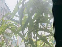 -竹庄餐馆·26年店(南昆山景区店)