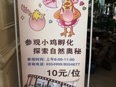 -兴芮温泉度假区