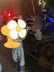 -恐龙探索乐园(磁器口店)