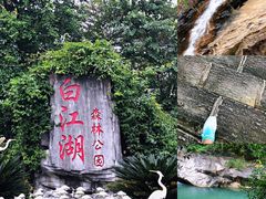 -广州白江湖森林公园