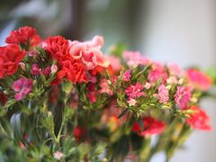 -春暖花开(西溪店)
