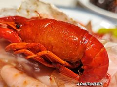 -杨氏青龙虾·羊蝎子(金盛路总店)