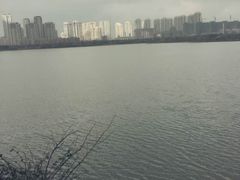 -艾溪湖湿地公园