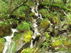 -叠溪松坪沟景区