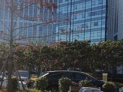 -上海永慈康复医院