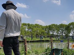 -暮谷MUGO ·团建聚会·露营烧烤·生日派对·共享菜地