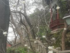 -乌山风景区