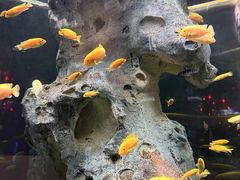 -福州罗源湾海洋世界旅游区