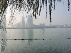 -天鹅湖体育公园