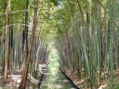 -同里国家湿地公园