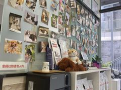 -爱妮康宠物医院·干细胞免疫细胞·肿瘤·心脏(张江店)