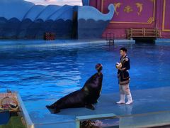 -横店影视城梦幻谷园区