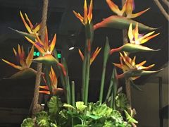 -云海肴·汽锅鸡·云南菜(天津国金汇店)