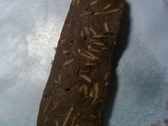 朱古力杏仁片曲奇-家琳甜品(江南东店)