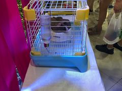 -凯德广场(学府店)