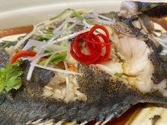 石斑鱼-盒马X会员店(王府井奥莱UP TOWN店)