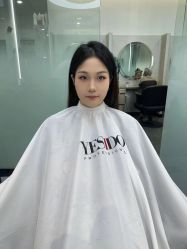 -YESIDO椰岛造型