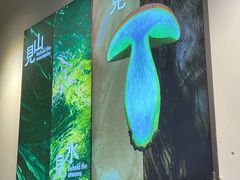-一善菌·云南菌汤·云南菜(银泰城店)