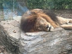 -秦皇岛野生动物园