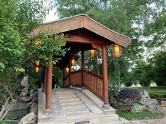 -合肥滨湖国家森林公园