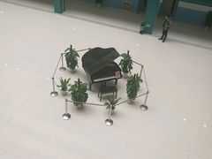 -苏州市妇女儿童活动中心