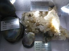 -金钉子远古世界景区