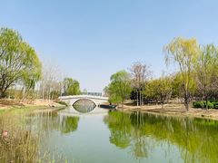 -大兴滨河森林公园