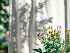 -视界美食自助餐厅·石家庄希尔顿酒店