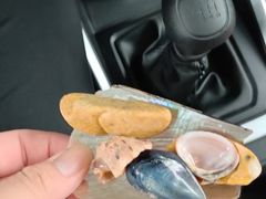 -青岛银沙滩