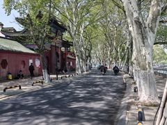 -李公堤