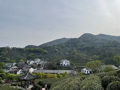 -龙井村