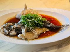 竹笋壳鱼-陶陶居酒家(SM二期购物广场店)
