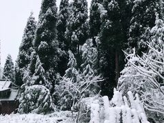 景点-九峰山