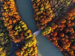 -上海海湾国家森林公园