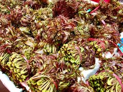 -青岛市本溪路农贸市场