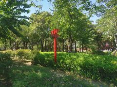 -飞来湖湿地公园