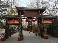 -合肥滨湖国家森林公园