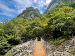 -青峰峡国家森林公园