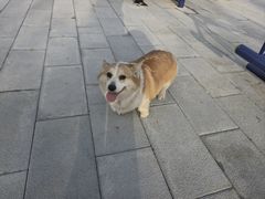 -王品牛排(合肥万象城店)